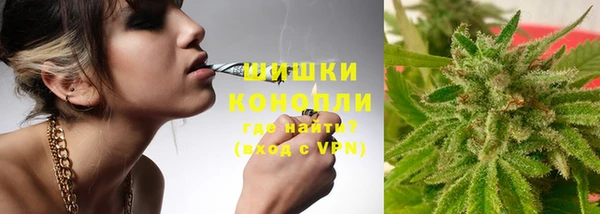 МДПВ Каменногорск