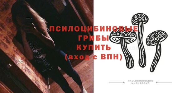МДПВ Каменногорск
