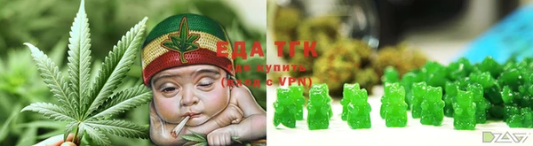 МДПВ Каменка