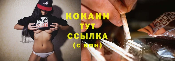 МДПВ Каменногорск