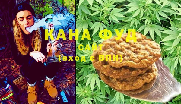 МДПВ Каменка