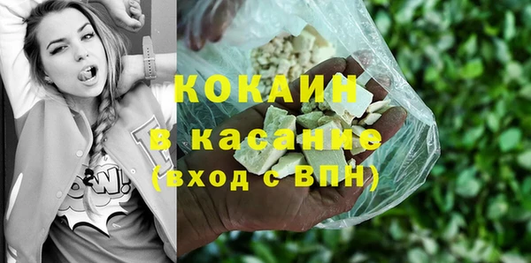 МДПВ Каменка