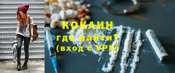 МДПВ Каменногорск