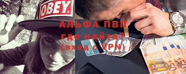 МДПВ Каменка