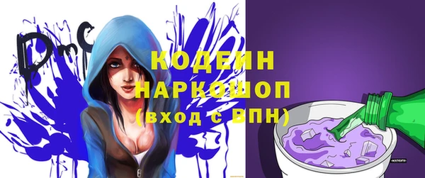 МДПВ Каменка