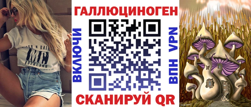 Купить закладки  Ельня  Псилоцибиновые грибы ЛСД 